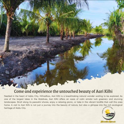a poster of a river with palm trees at Kilavethi Retreat in Hithadhoo