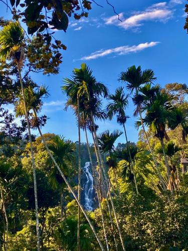 a waterfall in the jungle with palm trees at Cozy Homestay Waterfall Road Ella in Ella