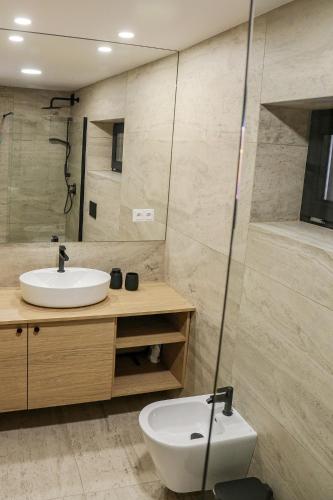 a bathroom with a white sink and a toilet at Apartmánový dům Karolinka in Karolinka