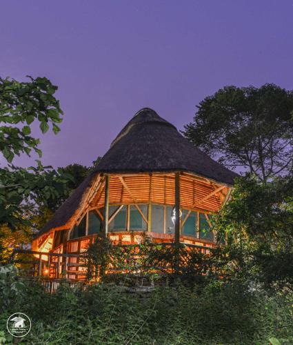 Gallery image of Kibale Tourist Safari Lodge in Bigodi