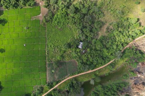 an overhead view of a road in the forest at Tribe Wilpattu - Eco Lodge in Wilpattu