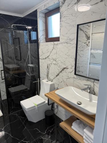 a bathroom with a sink and a toilet at Casuta de pe Ses in Novaci