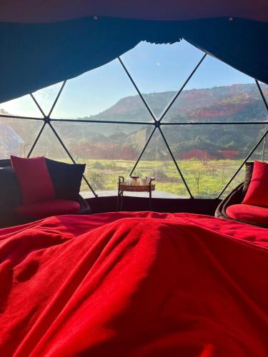 a bed in a tent with a large window at Ikigai Moonlight Garden in Iskele