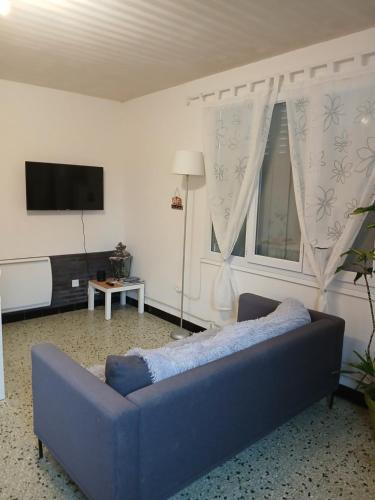 a living room with a blue couch and a tv at La maisonnette in Cléry-Saint-André