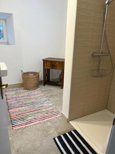 a bathroom with a shower with a table and a rug at Behagliches Haus mit Kamin Bayerischer Wald in Tiefenbach