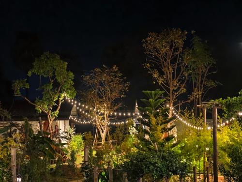 Κήπος έξω από το อุ่นไอนา โฮมสเตย์ ณ นครพนม Aun-i-na Homestay Nakhonphanom