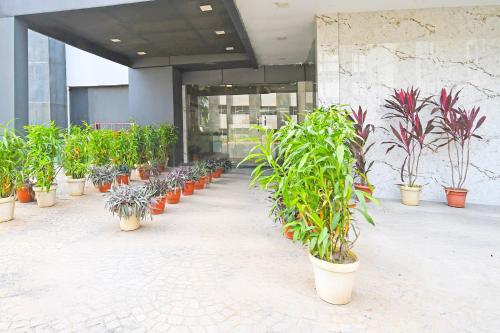a row of potted plants inront of a building at Townhouse Mancheswar Bhubaneswar Formerly Kamla Inn in Bhubaneshwar