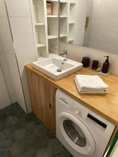 une salle de bain avec un lavabo et une machine à laver dans l'établissement L'Isernon, appartement avec balcons et garage, à Annecy
