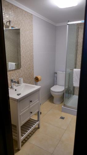 a bathroom with a sink and a toilet and a shower at Casa Ambientt in Curtea de Argeş