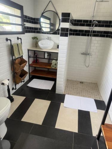 a bathroom with a shower and a sink and a toilet at le mangue car hôte in Saint-Paul