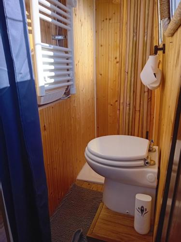 - une salle de bains avec toilettes dans une chambre en bois dans l'établissement BOAT Judy proche PARIS, à Maurecourt