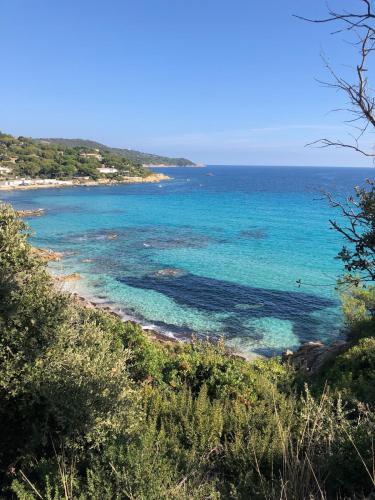 une vue d'une plage avec l'océan dans l'établissement Mazet Les Issambres / Ste-Maxime, à Roquebrune-sur Argens