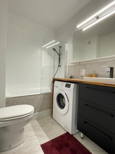 une salle de bain avec une machine à laver et un lavabo dans l'établissement Le Pinot - Centre-ville - Gare à 5 mn, à Dijon