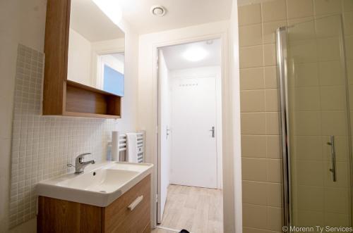 une salle de bain avec un lavabo et une douche dans l'établissement Studio calme et cosy avec parking - Ty ar Gwilen, à Rennes