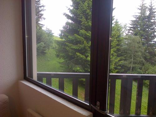 a window with a view of a green yard at Plein Ciel sur les pistes 40m2 - 2 chambres in Allevard