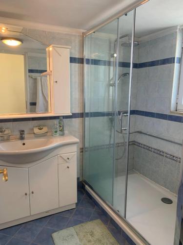 a bathroom with a shower and a sink at Villa Mike's House in Apolpaina