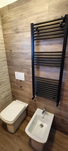 a bathroom with a toilet and a sink at Stellalpina in Sappada