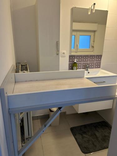 une salle de bain avec un lavabo et un miroir dans l'établissement Gîte de la Source, à Feuchy