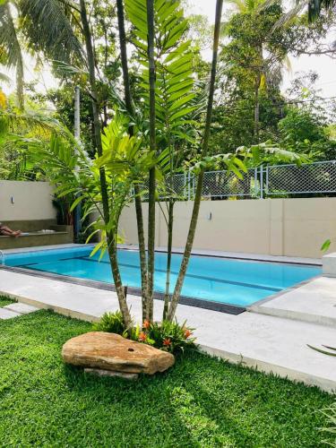 Kolam renang di atau dekat dengan Thambara Villa Unawatuna