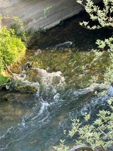 Φυσικό τοπίο κοντά σε αυτό το διαμέρισμα