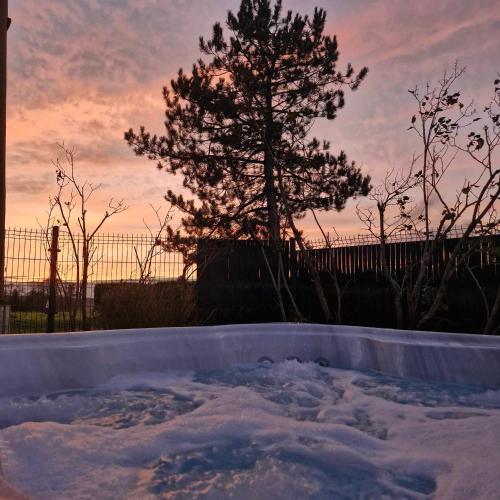 Chalet JACUZZI/spa privatif PERCE NEIGE