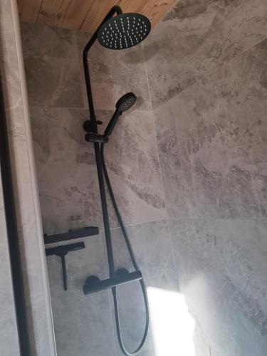 a shower with a shower head in a bathroom at L Authentique Vosgien in Vecoux