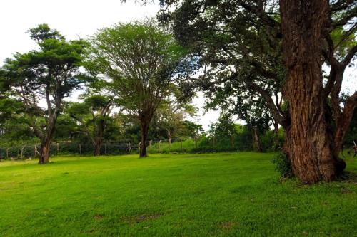 Κήπος έξω από το Semara Hotels Machakos