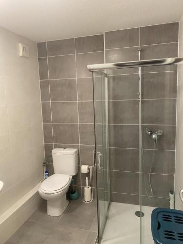 une salle de bain avec toilettes et douche en verre dans l'établissement Grand 2 pièces Eurométropole de Strasbourg proche Europa Park avec terrasse, à Plobsheim