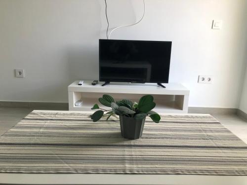 Apartamentos Aloe