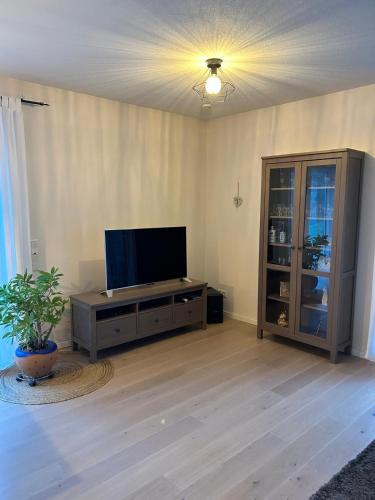 Μια τηλεόραση ή/και κέντρο ψυχαγωγίας στο Ferienwohnung Am alten Apfelbaum