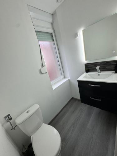 une salle de bain avec toilettes, lavabo et miroir dans l'établissement Agréable T2- Centre ville, à Saint-Quentin