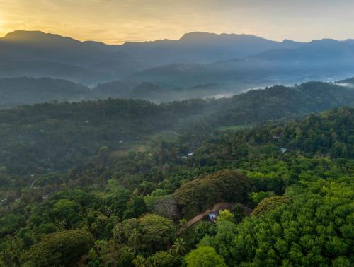 a view of a forest with mountains in the background at Clodagh Manor House by Seven Angels in Matale