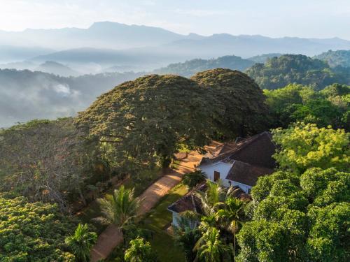 an aerial view of a jungle with a house and trees at Clodagh Manor House by Seven Angels in Matale