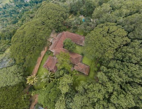 an aerial view of a building in the midst of trees at Clodagh Manor House by Seven Angels in Matale