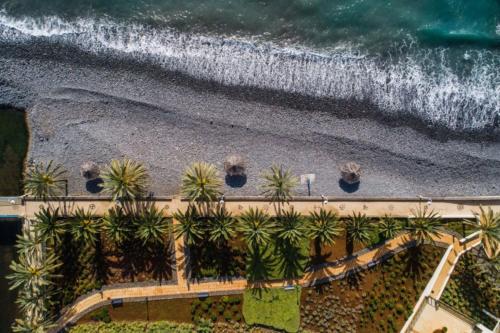 an aerial view of a beach with palm trees and the ocean at Vila Gale Santa Cruz in Santa Cruz