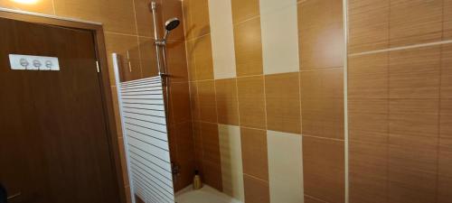 a bathroom with a shower stall and a toilet at Bansko Pirin Golf & Country Club Blue Mountains View in Razlog