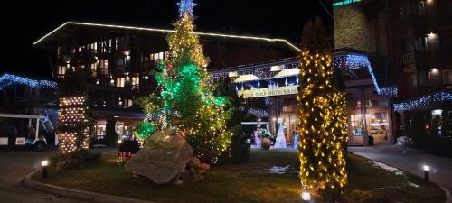 a group of christmas trees in front of a building at Bansko Pirin Golf & Country Club Blue Mountains View in Razlog