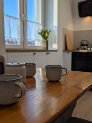 Apartament po Stronie gór - stoki narciarskie, kąpielisko, trasy rowerowe