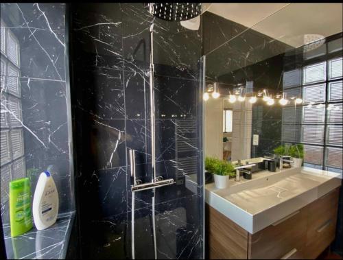 a bathroom with a shower with a sink and a mirror at Le Point Virgule - Parking Privé - Clim in Montauban