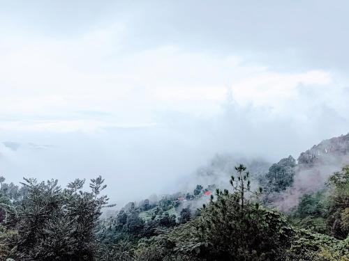 a misty mountain with trees in the foreground at Nature Sanctuary Stay in Jutogh
