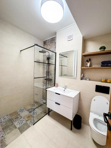 a bathroom with a shower and a sink and a toilet at Lady-s View in Floreşti