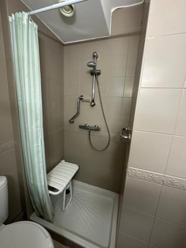 La salle de bains est pourvue d'une douche, de toilettes et d'un rideau de douche. dans l'établissement Lourdes, à Nevers
