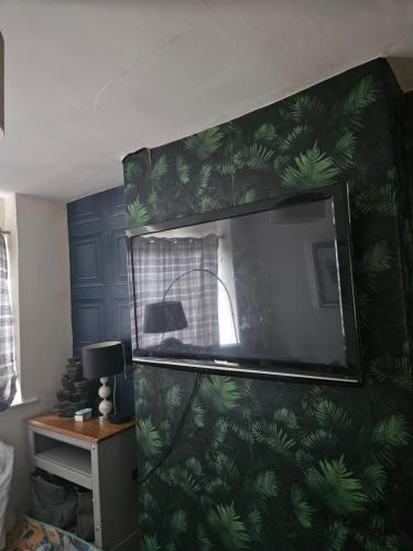 Elle comprend une télévision à écran plat sur un mur avec des feuilles vertes. dans l'établissement Mama jos, à Manchester