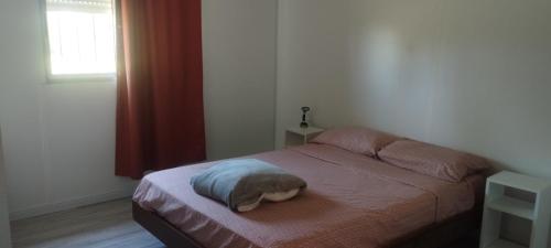 En eller flere senge i et værelse på CAMPO & NATURALEZA uy