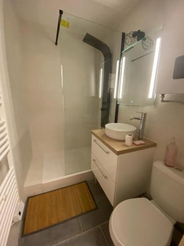 une salle de bain avec toilettes, lavabo et douche dans l'établissement Studio La Favière Bormes les Mimosas, à Bormes-les-Mimosas