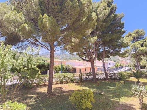 un groupe d'arbres dans une cour avec des buissons dans l'établissement Studio La Favière Bormes les Mimosas, à Bormes-les-Mimosas