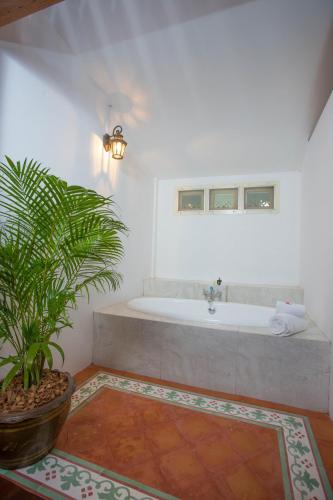 a bathroom with a tub and a potted plant at Baan Khun Nang Colonial Residence in Mae Nam