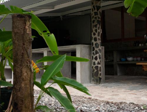 a giraffe standing inside of a building with at La Chamba Surf House in Santa Catalina