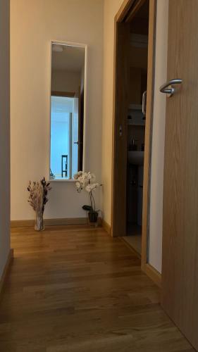 a hallway with a mirror and a vase of flowers at Apartamentos Suites Iscar in Iscar