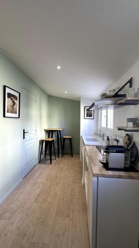 une cuisine avec un comptoir et une table à l'intérieur dans l'établissement Studio avec jardin, à Bègles